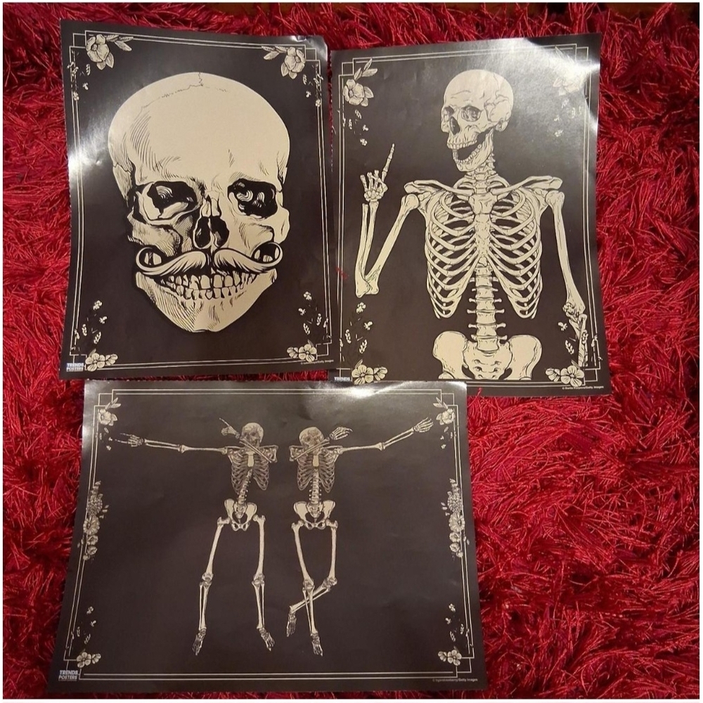 Skeleton Posters - Picture 5 of 5